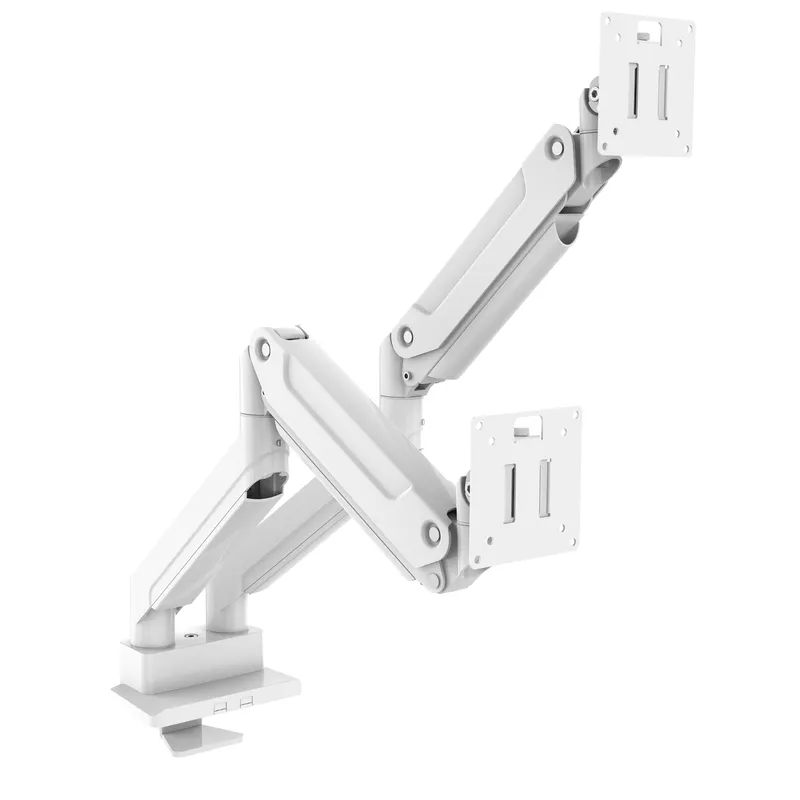 Desk Setup Dual Monitor - Supporto per Monitor a Doppio Braccio,