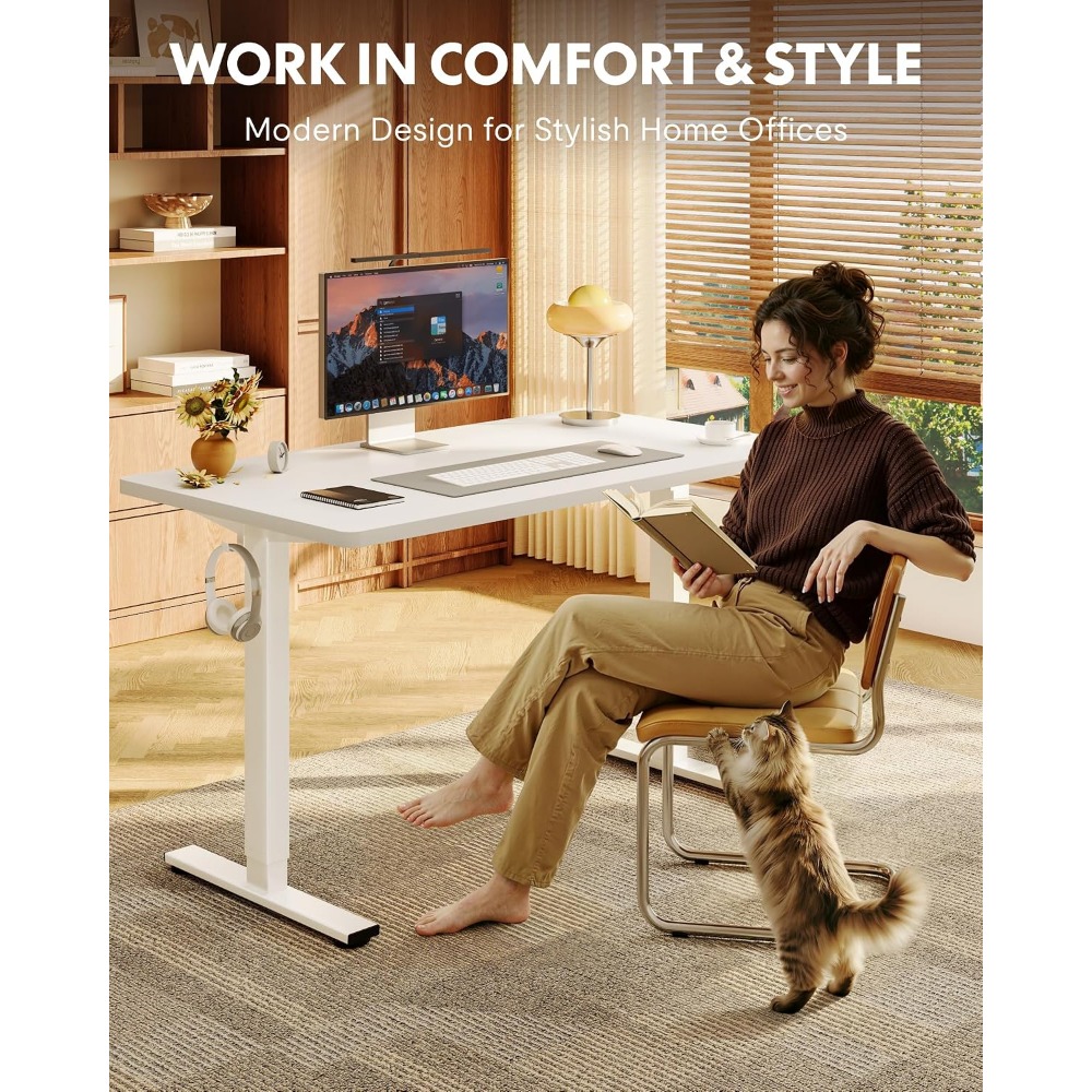 FLEXISPOT EN1 Scrivania Regola - Desk Setup Dual Monitor recensione e prezzo